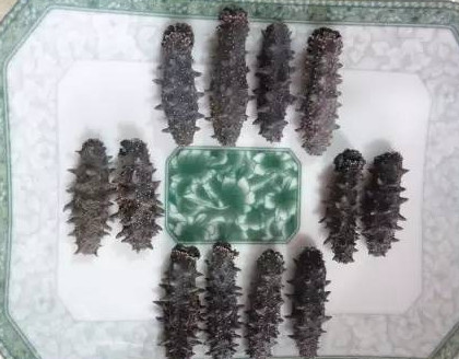 高檔干海參禮盒，傳統(tǒng)晾曬